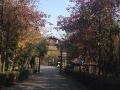 iphone_upload_pic-穹窿山景区