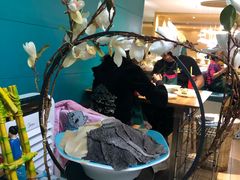 -青瓷火锅料理(西单大悦城店)