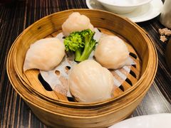 虾饺-新海利(北岭店)