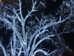 -包装马车·韩国料理·포장마차