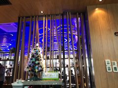 -老板恋上鱼(恒隆广场店)