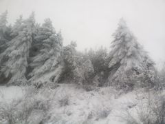 -太子岭滑雪场