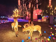 -承德避暑山庄景区