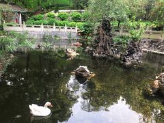 -国恩寺