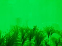 -chi K11艺术空间展览厅