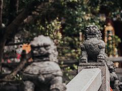 -深圳市中科院仙湖植物园