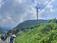 -岚山嵯峨野观光小火车