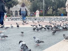 -加泰罗尼亚广场