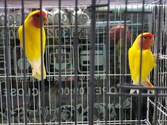 -三旗百汇商品城