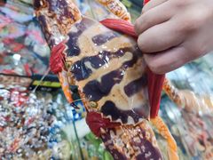-明记海鲜大排档(巽寮湾店)
