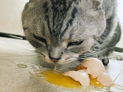 -盒马鲜生(大行宫店)