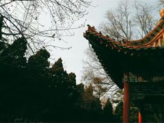 -陕西师范大学(雁塔校区)