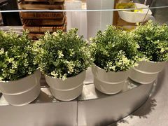 -老乡鸡(上海白玉兰广场店)