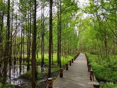 -桤木河湿地公园