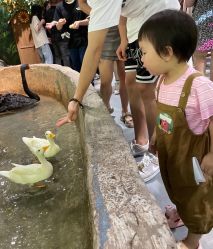 -Zoolung Zoolung动物主题公园(海信广场店)