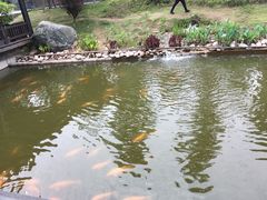 -枫香湖儿童公园