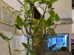 -滇铺子·云南特色菜·第九届野生菌美食节(东风东路c86店)