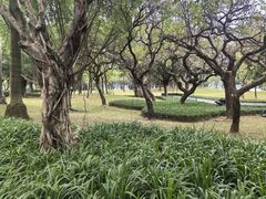 -顺峰山公园