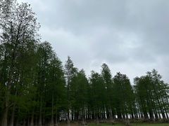 -四明湖