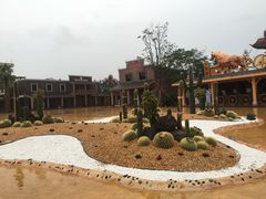 -鼎龙湾德萨斯水世界