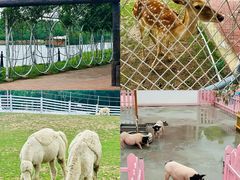 -渔岛海洋度假区