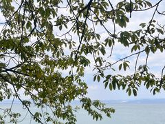 -抚仙湖禄充风景区