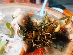 石橄榄炖鸡-洪大厨鸡煲(福田店)