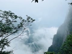 -张家界天门山国家森林公园
