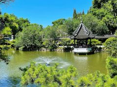 -上海醉白池公园