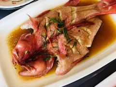 东星斑-渔满仓海鲜渔家(象山二店)