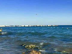 -小巴塞罗那海滩