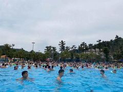 -重庆海昌加勒比海水世界