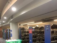 -世界之窗阿尔卑斯冰雪世界