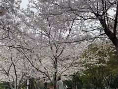 -堤角公园