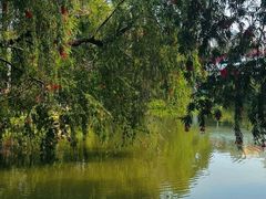 -人民公园(罗湖区)