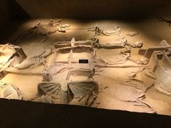 -洛阳周王城天子驾六博物馆