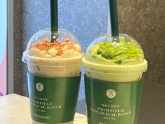 -茉酸奶(春熙路店)