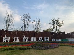 -上海滨江森林公园