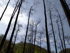 -藏龙百瀑风景区