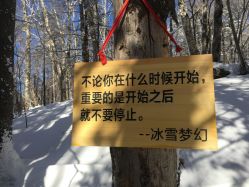 -大秃顶子山