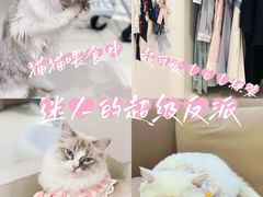 -怪兽屋·羊驼·猫咖·狗咖(俊华广场店)