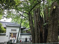 -西湖风景区十里琅珰-五云山