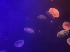 -南昌融创海世界