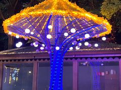 -杭州黄龙洞