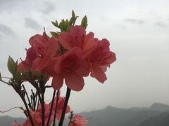 -上海小南国(不夜城店)