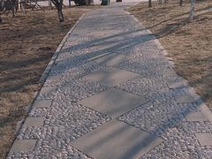 -绿岛公园(滨海新区)