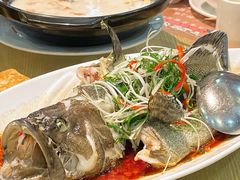 -九號渔港·蒸汽海鲜·粤菜茶点(八卦岭店)