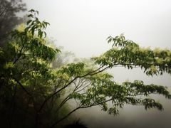 -大明山自然探索公园