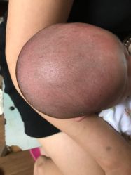-龙文宝贝上门婴儿理发满月剃胎毛(普陀店)