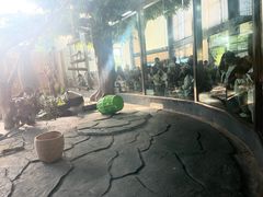 -泉州海丝野生动物世界